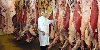Kulcs a jövőhöz: élelmiszeripar, kikötő, híd - javaslatok a térség fejlesztési irányairól