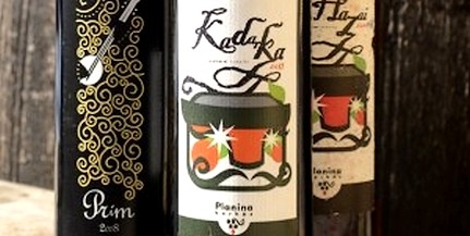Horváth Zoltán mohácsi borai kaptak rangos minősítést