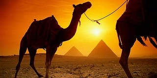 First minute árak: Kairó és Nílusi hajóút programjaink