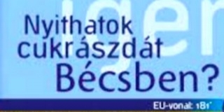 Tíz éve a Fidesz volt a befutó az EP-voksoláson - Mohácson több mint ötven százalékkal