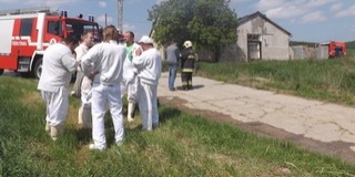 Lángra kapott a szederkényi húsüzem tetőszerkezete, megfékezték a tüzet