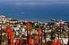 Madeira júniusban akciós áron!