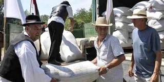 Újra a mohácsi malomban öntik össze a búzát a magyarok kenyeréhez