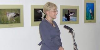 Az élővilág csodáiról mesélnek Dr. Kalotás Zsolt természetfotói a Kossuth Filmszínházban