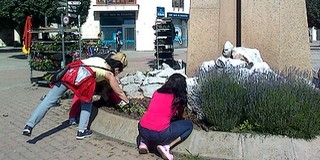 A virágágyásokban és a kőedényekben már az egynyári virágok pompáznak Mohácson