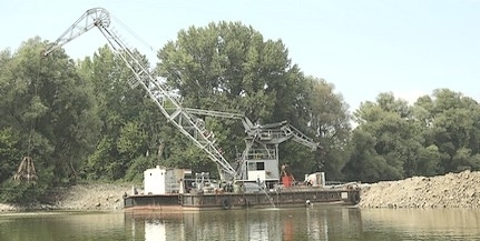 Dunai élőhelyek helyreállítása: a mohácsi Szabadság sziget a példa a hétéves programban