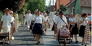 Újra lehet ősszel horvát, német, cigány és szerb nemzetiségi önkormányzat is Mohácson