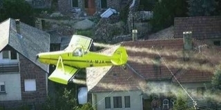 Az eső rátett még egy lapáttal, hétfőtől ismét támadják Mohácson a szúnyogokat