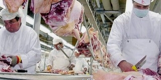 Döntött a kormány: kiemelt beruházás a Mohácson épülő vágógíd