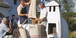 A Magyarok Kenyeréhez Bellyén a hónap végéig gyűjtik a búzát