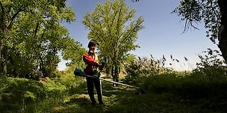 Szekó József: „legyen látszata a közfoglalkoztatottak munkájának