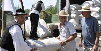 Százhetven tonna búza a Magyarok Kenyeréhez - Mohácson öntik össze a gabonát