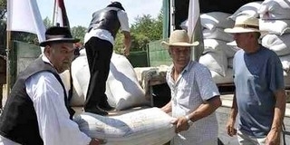 Százhetven tonna búza a Magyarok Kenyeréhez - Mohácson öntik össze a gabonát