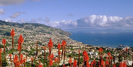 Madeira last minute akció
