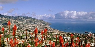 Madeira last minute akció
