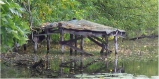 Rendet vágnak Belső-Bédán: a hínárt és a stégromokat is eltakarítják a vízből