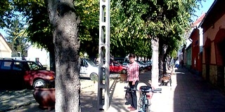 Nagyméretű, címeres virágtartók is díszei a Jókai utcának