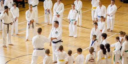 Japán mester vezetésével nemzetközi karate szeminárium házigazdája lehetett városunk