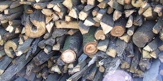 Az önkormányzat finanszírozta tűzifát Mohácson hétfőtől várhatják a jogos igénylők