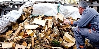 Döntöttek: a Mohács környéki községek is sikeresen pályáztak a tüzelő-támogatásra