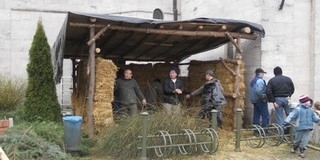 Ismét felállítják Mohácson a betlehemet - egy fenyőággal bárki hozzáteheti a maga részét