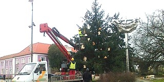 Mohács karácsonyváró fénye nem hivalkodó, de feldíszített fenyőfája évről-évre nagyobb