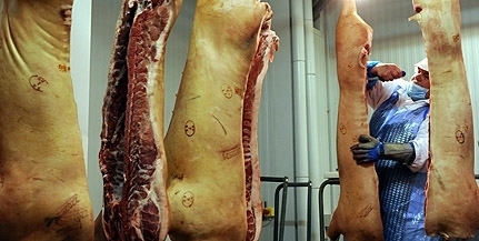 Senki nem akar bádogosnak, ácsnak menni, a havi majd' harmincezres ösztöndíj se csábító Senki nem akar bádogosnak, ácsnak menni, a havi majd' harmincezres ösztöndíj se csábító