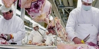 Gyorsulhat a vágóhíd építése a tulajdonosi szerkezet átalakításával