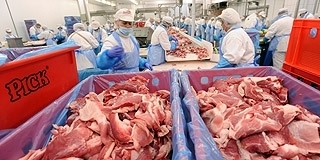 PICK: átveszi a pécsi dolgozókat az új mohácsi üzem, a cégvezetők szerint 