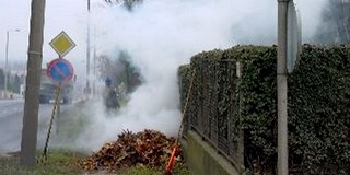 Tűzgyújtási tilalom nincs - viszont a szabadtéri égetésre új szabályok vonatkoznak