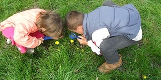 A Mohács-szigeti „nyuszi A Mohács-szigeti „nyuszi