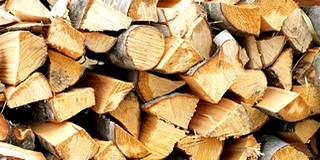 Mohács idén sem jogosult központi forrásból tűzifa támogatás igénylésére