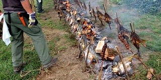 Kopácson gasztrokulturális fesztivált tartanak a hétvégi halásznapokon