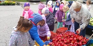 A piacon bevásároltak, majd savanyítottak az ovisok