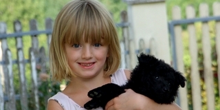 Ismét összeírják a kutyákat Mohácson, három éve 2500-at vettek nyilvántartásba