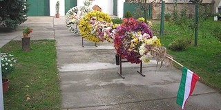 Nagynyárádon a díszes búcsúfát menetzenével, tánccál ma viszik a kultúrházhoz