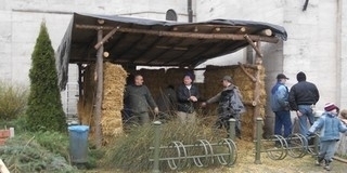 Fenyőágakat, önkénteseket is várnak a mohácsi betlehem felépítéséhez