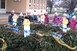 Advent a szigeti városkörzetben, Újmohácson és Sárháton