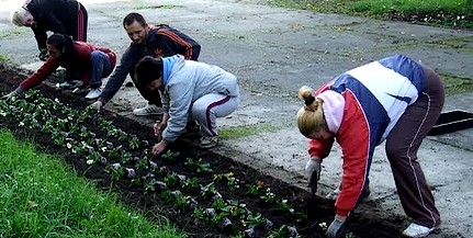 Újabb szakmai elismerés: a város virágos, rendezett közterületei igényesen gondozottak