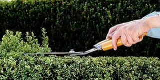 Hétfőnként viszik el a zöldhulladékokat Mohácson