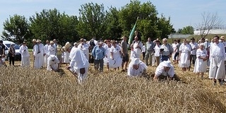 Szombaton rendezik Mohácson a hagyományos Aratónapot - Íme, a részletes program