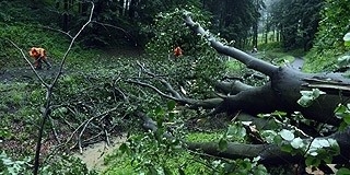 Baranyában okozta a legtöbb gondot az időjárás, a mohácsi tűzoltókat is riasztották
