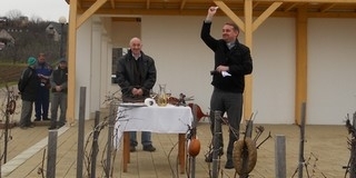 Vince-nap a szőlőhegyen: vesszőszentelés pincejárással, termésjóslással