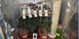 Mohácsi családi házban termesztették a kábítószert