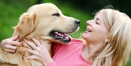 Állati nagy buli lesz a pécsi Expóban, kutyásoknak pláne kötelező ott lenni Állati nagy buli lesz a pécsi Expóban, kutyásoknak pláne kötelező ott lenni