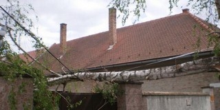 Vihartépte fa dőlt egy házra a Vörösmarty utcában