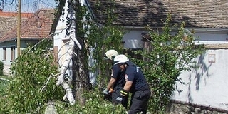 Leszakadt faág miatt volt szükség a tűzoltókra