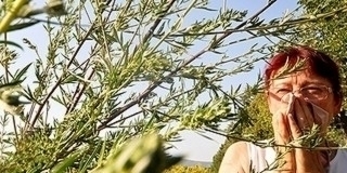 Ha parlagfüve van, most kaszáljon: néhány napig még elkerülhető a büntetés