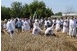 Újra megmutatják szombaton, hogyan zajlott egykoron, gépek nélkül az aratás
