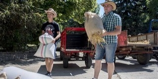 Magyarok kenyere: megyei búzagyűjtő napot tartottak Sombereken pénteken
